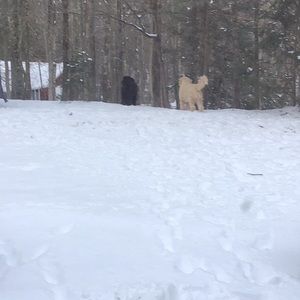 Meet your Posher, Jane